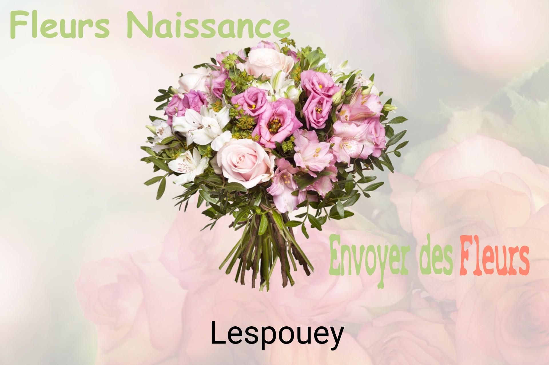 Bouquet de fleurs de naissance livré à Lespouey