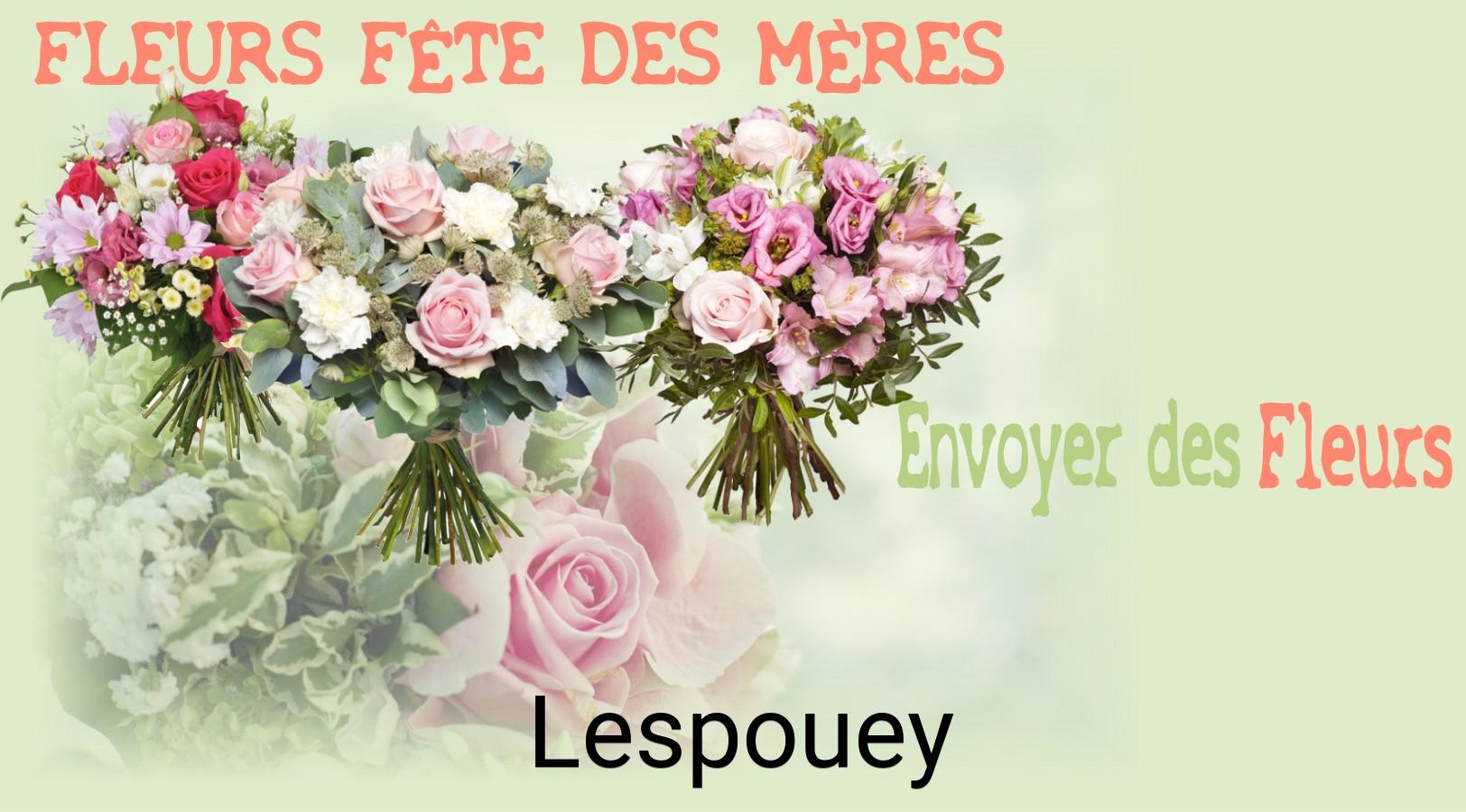 Bouquet de Fête des Mères livré à Lespouey